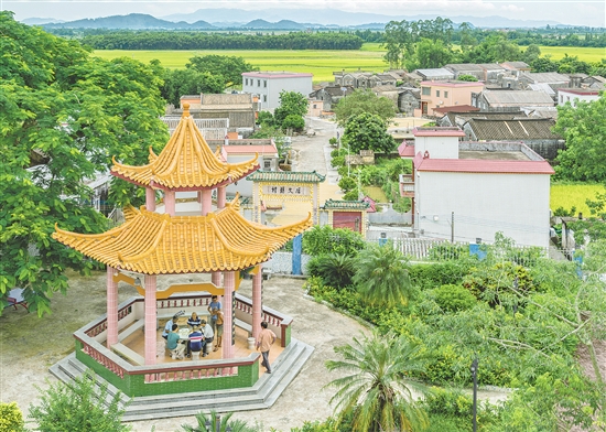 沖蔞鎮(zhèn)西海村通過校地協(xié)作、環(huán)境整治、文旅融合等舉措，推動(dòng)產(chǎn)業(yè)提質(zhì)、民生改善、文化傳承。