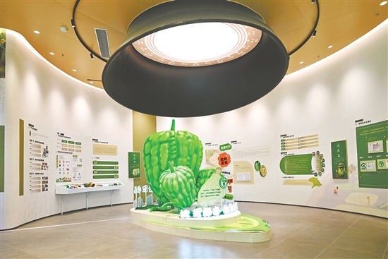 杜阮涼瓜博覽館。