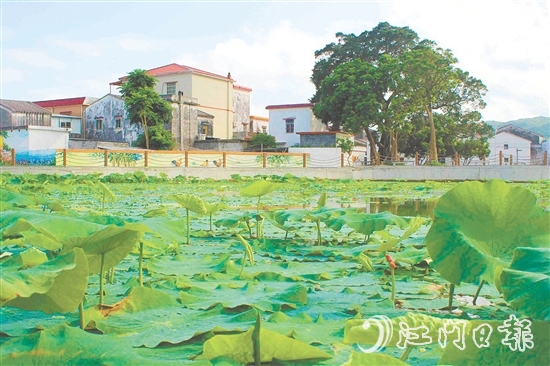 從產(chǎn)業(yè)協(xié)同到生態(tài)蝶變，從設施完善到文化繁榮，川島鎮(zhèn)甫草村甫草村以資源稟賦為基，展現(xiàn)新變化。