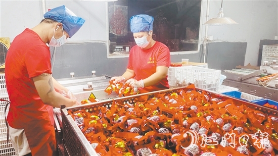 赤水鎮(zhèn)依托麻鴨養(yǎng)殖傳統(tǒng)優(yōu)勢，錨定“精深加工”做文章。