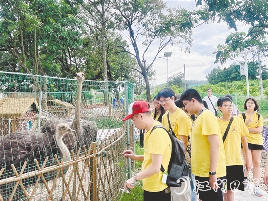 鳳鄉(xiāng)玉懷民宿打造的體驗(yàn)項(xiàng)目，吸引不少青少年前來參觀。