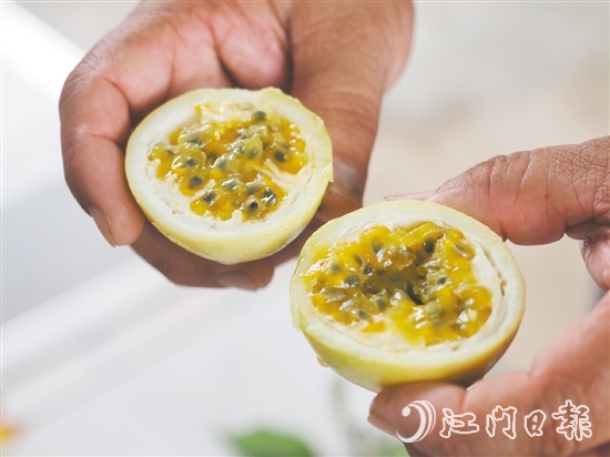 切開黃金百香果，酸甜的香氣撲面而來，十分誘人。