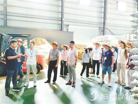 人大代表視察粵翔公司魚(yú)粉加工現(xiàn)場(chǎng)。