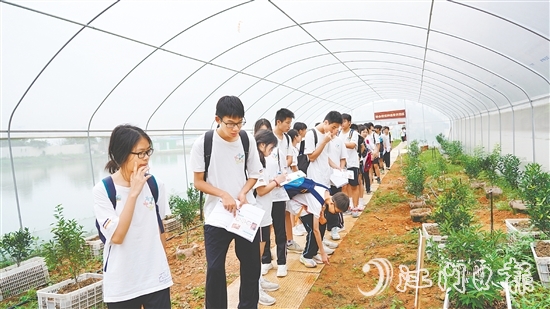 新會泓達(dá)堂陳皮莊園 新會泓達(dá)堂陳皮莊園