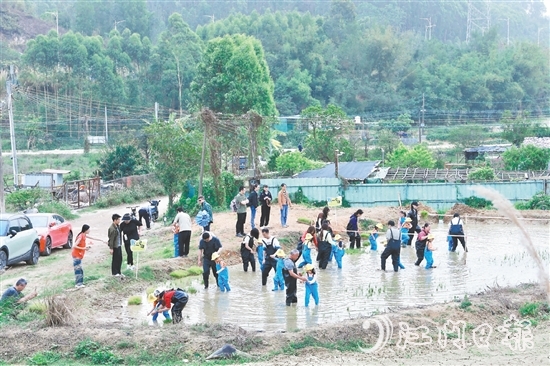 龍眠村把田間地頭打造成實(shí)踐研學(xué)地，探索發(fā)展農(nóng)文旅產(chǎn)業(yè)。