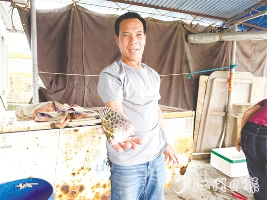 老漁民利叔展示新鮮漁獲。