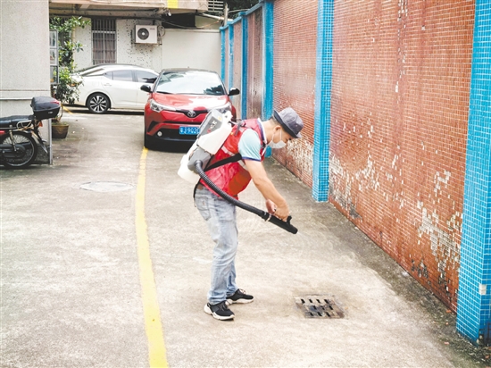 為保障新學(xué)期師生健康安全，鶴山市教育系統(tǒng)以防蚊滅蚊為重點集中開展校園愛國衛(wèi)生專項行動。