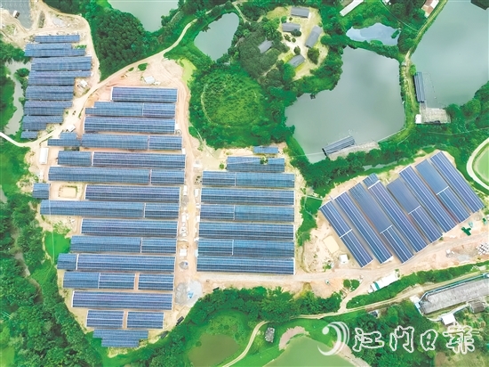 光伏板發(fā)的電不僅滿足養(yǎng)雞場自身需求，還能并入電網(wǎng)，產(chǎn)生經(jīng)濟效益。