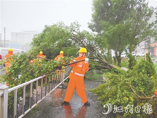 工作人員冒著風(fēng)雨作業(yè)，清理倒伏樹木。