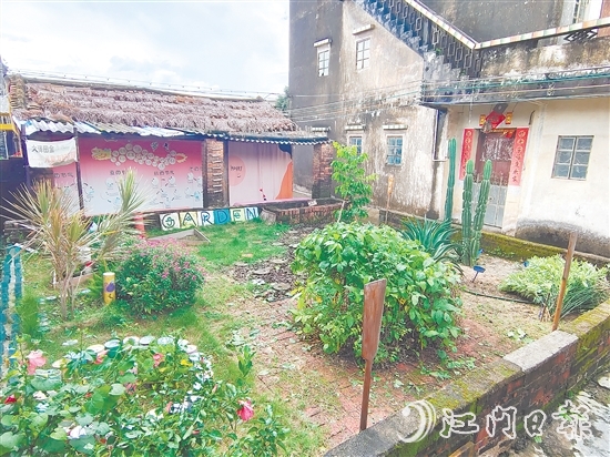 郭一芳家的庭院用沙地植物打造而成，形成層次分明的生態(tài)景觀。