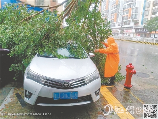 平安產(chǎn)險(xiǎn)查勘員在巡查中看到一輛汽車被倒下的大樹壓住，馬上聯(lián)系車主并協(xié)助清理。