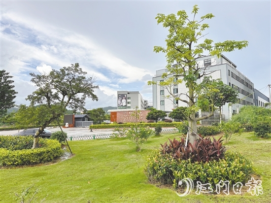 口袋公園不僅為社區(qū)拓展了綠色空間，更成了居民茶余飯后的休閑新去處。