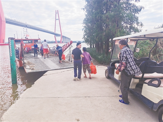 新會(huì)區(qū)三江鎮(zhèn)沙仔島是銀洲湖上的孤島，四面環(huán)水，僅靠渡船往來(lái)。昨日，三江鎮(zhèn)對(duì)沙仔島全島常住村民60多人全部進(jìn)行轉(zhuǎn)移。馮瑤君