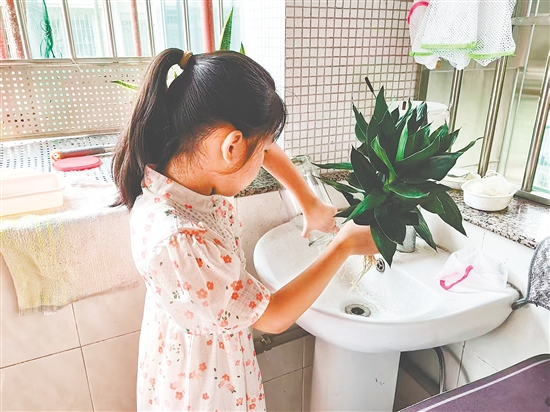豐樂(lè)小學(xué)學(xué)生清理家里花瓶的積水。