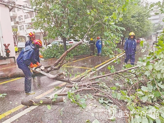 江南街道工作人員清理倒伏樹木。