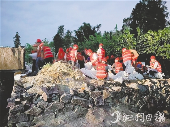 臺風(fēng)來臨前，在西江大堤重要點(diǎn)位，工作人員裝好4000個沙袋嚴(yán)陣以待。