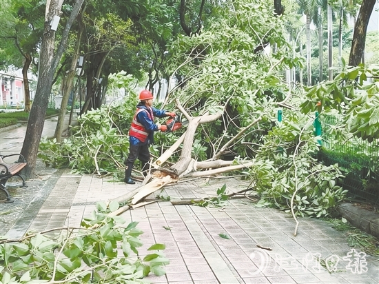 發(fā)現(xiàn)樹(shù)木折枝、倒伏后，城管工作人員緊急開(kāi)展樹(shù)木排險(xiǎn)排障工作，全力消除險(xiǎn)情，保障道路通行安全。