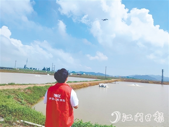 江門人保財險工作人員現(xiàn)場開展前置性風險排查與防護指導(dǎo)。