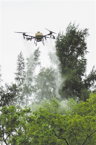 無(wú)人機(jī)在滅蚊防疫攻堅(jiān)戰(zhàn)中大顯身手。圖為鶴山采用無(wú)人機(jī)精準(zhǔn)開(kāi)展滅蚊工作。