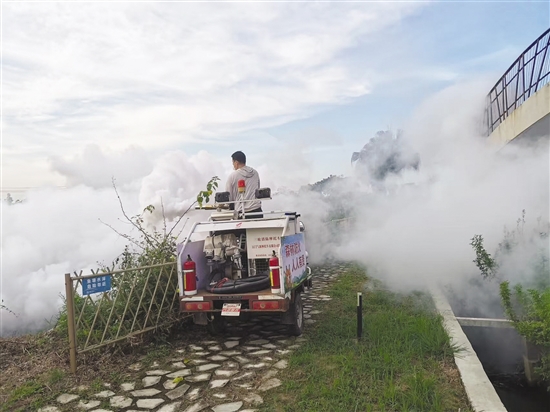 開(kāi)平市塘口鎮(zhèn)通過(guò)多種方式應(yīng)用煙霧機(jī)滅蚊。圖為煙霧機(jī)搭配農(nóng)用車對(duì)蚊蟲(chóng)進(jìn)行滅殺。