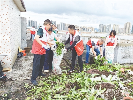黨員干部在老舊居民樓頂清理廢棄花盆、雜物、亂生植物，不放過任何一個衛(wèi)生死角。