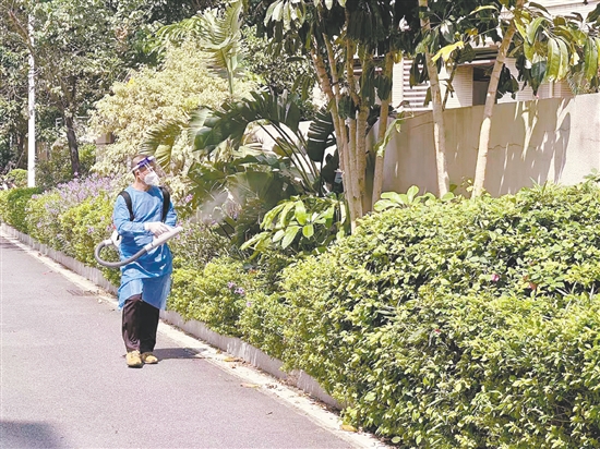 江門市江華小學(xué)對校園內(nèi)外進(jìn)行蚊蟲消殺。