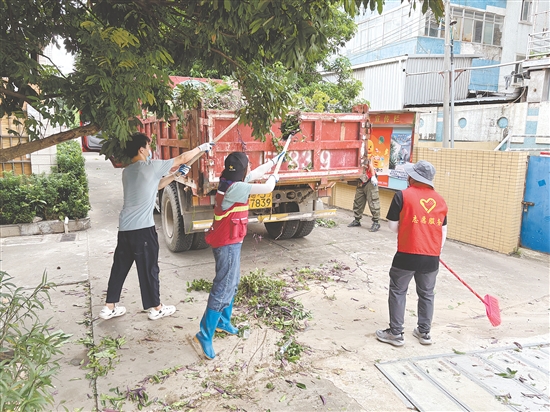 蓬江區(qū)在環(huán)市街道里村社區(qū)舊村片區(qū)開展攻堅(jiān)行動(dòng)。圖為環(huán)境整治組工作人員清理野生綠植。任佳燕