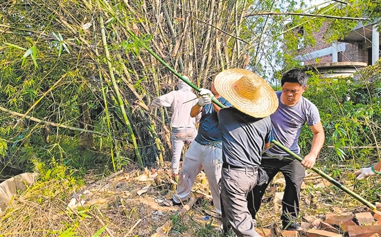 村民義工隊到藍田村小組清理竹林，為建設(shè)環(huán)村路騰出位置。