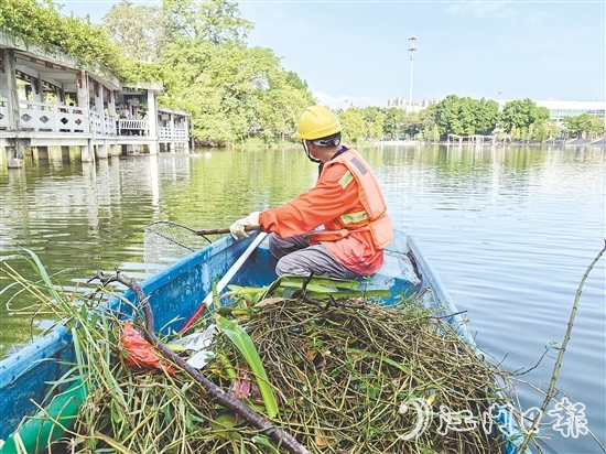 鶴山市對公園、景區(qū)開展環(huán)境治理，清理岸坡垃圾雜草和水面漂浮物。