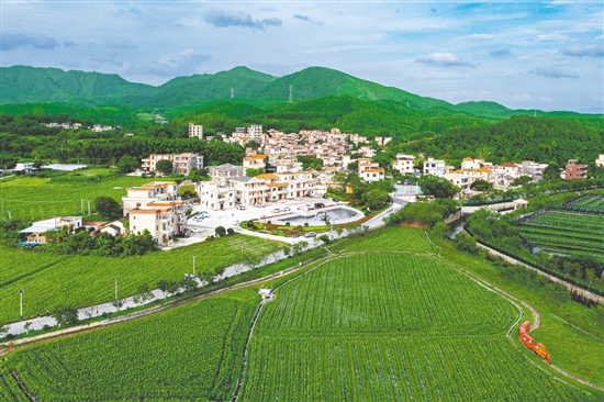 城西村是江門市重點(diǎn)支持建設(shè)的110個(gè)綠美鄉(xiāng)村示范村之一，2024年入選廣東省“百千萬工程”第二批典型村培育名單。