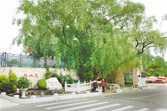 去年，在鄉(xiāng)賢的大力支持下，對(duì)井水龍進(jìn)行了修繕，周邊鋪了石板、種了綠植，以及裝了抽水機(jī)及水龍頭，方便村民取水。