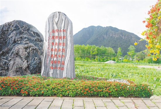 陳白沙景觀石是城西村的網(wǎng)紅打卡點(diǎn)。