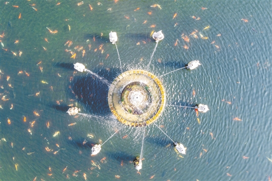 攬?jiān)鲁厥浅俏鞔宕蛟爨l(xiāng)村景觀的代表性項(xiàng)目之一。通過發(fā)動(dòng)本村華僑和鄉(xiāng)賢助力，結(jié)合自身資源特點(diǎn)建成。