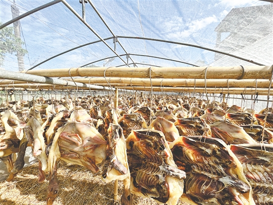 那吉臘鴨香氣四溢。