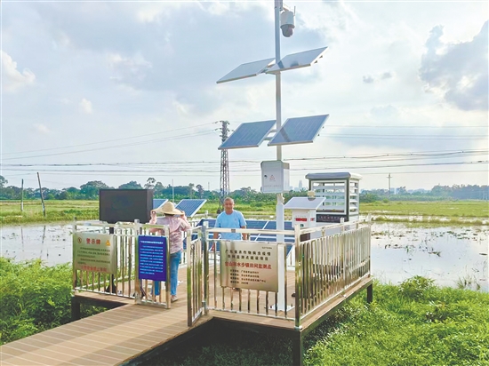 臺山市著力打造全域覆蓋的智能監(jiān)測網(wǎng)絡，讓“慧眼”遍布田間地頭。