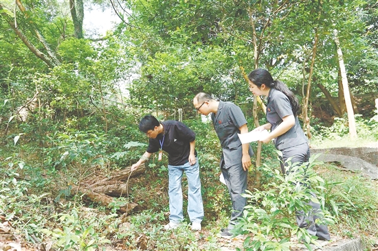 “林長+森林法官”聯(lián)合巡林，守護生態(tài)環(huán)境。