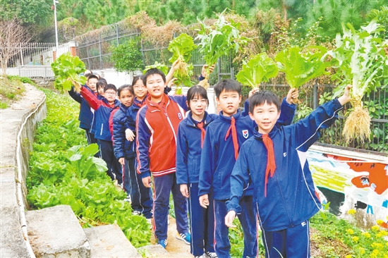 鶴山市碧桂園學校將勞動教育作為培養(yǎng)學生核心素養(yǎng)的重要內(nèi)容。