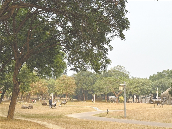 在恩平鰲峰山公園享受柔和暖陽。