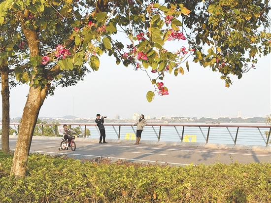 濱江綠道景致清幽，成為市民曬太陽的優(yōu)選之地。