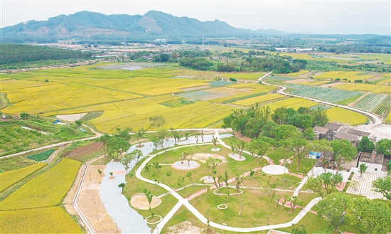 沖蔞鎮(zhèn)深入開展農(nóng)村人居環(huán)境整治，推進“三清三拆三整治”，實現(xiàn)“拆后即建、拆建同步”，塑造特色鄉(xiāng)村風貌。