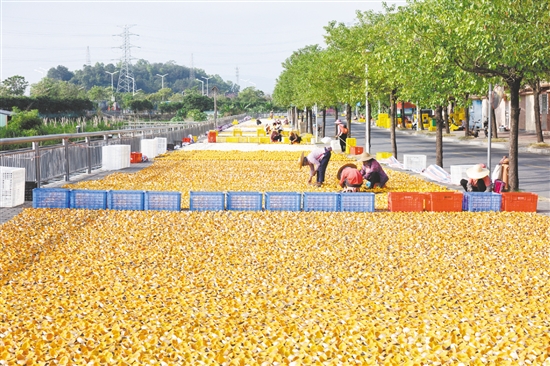 近年來，茶坑村大力推進“百千萬工程”，推動農(nóng)文旅深度融合，實現(xiàn)產(chǎn)業(yè)興旺。