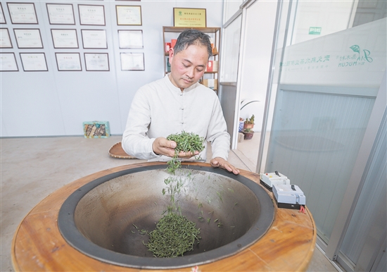 圖為3月10日，金華市非物質(zhì)文化遺產(chǎn)“武陽春雨制作技藝”代表性傳承人、全國技術(shù)能手鮑王棟在炒制今年首批“武陽春雨”春茶。