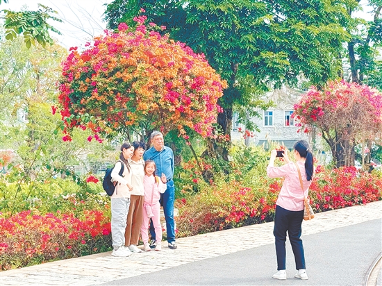 三月賞花游成江門旅游熱點。