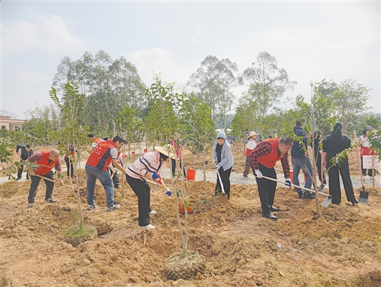 社會各界代表在鶴山市宅梧鎮(zhèn)靖村村參與植樹活動。 社會各界代表在鶴山市宅梧鎮(zhèn)靖村村參與植樹活動。