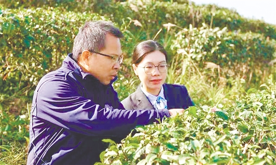 農行江門分行工作人員送金融服務到鄉(xiāng)村。