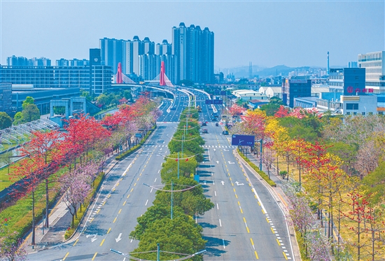 江海區(qū)持續(xù)推進基礎(chǔ)設(shè)施建設(shè)，進一步完善交通網(wǎng)絡(luò)。圖為金甌路西延線。