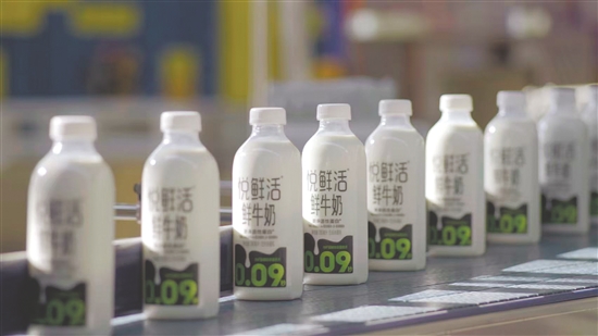 君樂寶“悅鮮活鮮牛奶”在廣東市場(chǎng)的占有率已達(dá)30%左右。