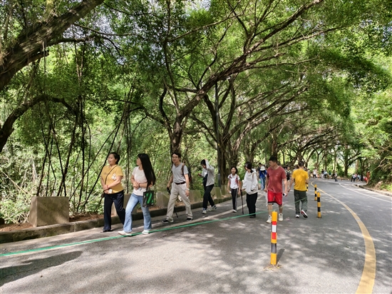 參賽職工沿著蜿蜒山道健步前行，在暢快運(yùn)動(dòng)的同時(shí)，沉浸式領(lǐng)略大雁山的秀美風(fēng)光。
