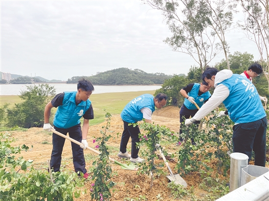 活動在環(huán)湖碧道沿線種下1000棵簕杜鵑，勾勒出一道清新靚麗的生態(tài)風景線。