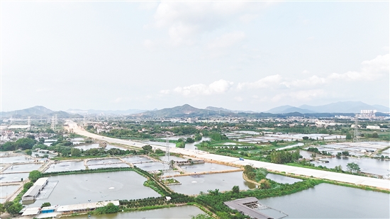國道G240線主線建設(shè)如火如荼，其中，途經(jīng)大澤鎮(zhèn)沿江村路段全長約2公里。